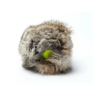 Rabbit "Cover" mit Tennisball