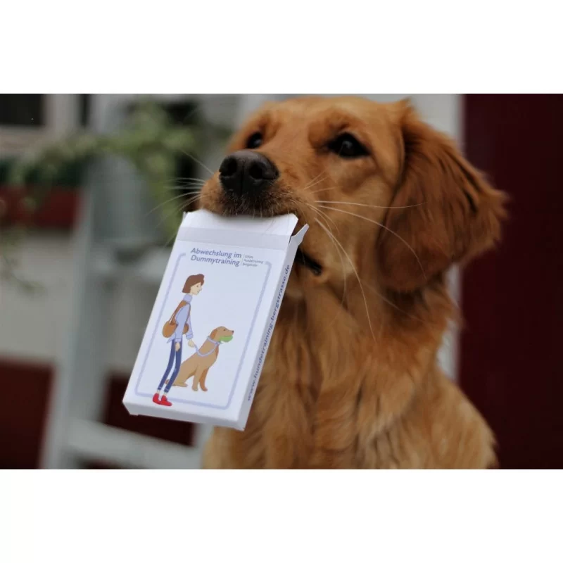 Dummy-Karten Teil 1 Dummy-Karten Teil 1